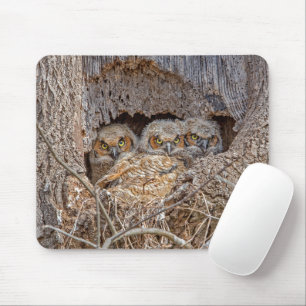 Cutest Baby Animals   Great Horned Chicks Mouse Pad