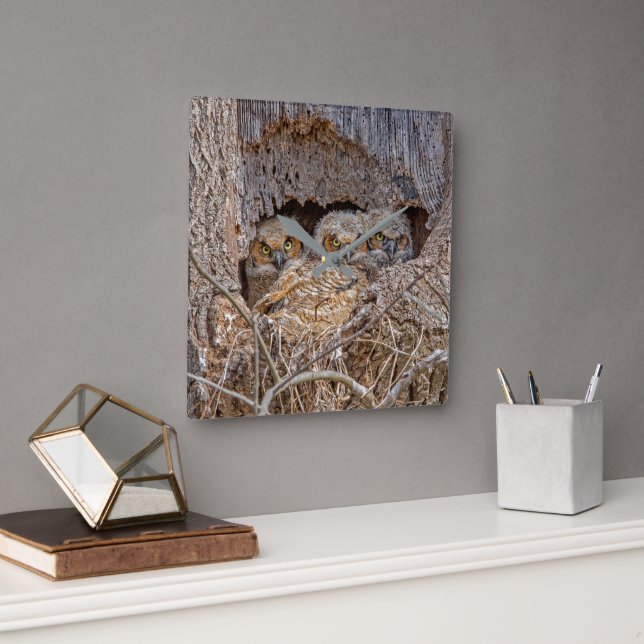 Cutest Baby Animals | Great Horned Chicks Square Wall Clock (Office)