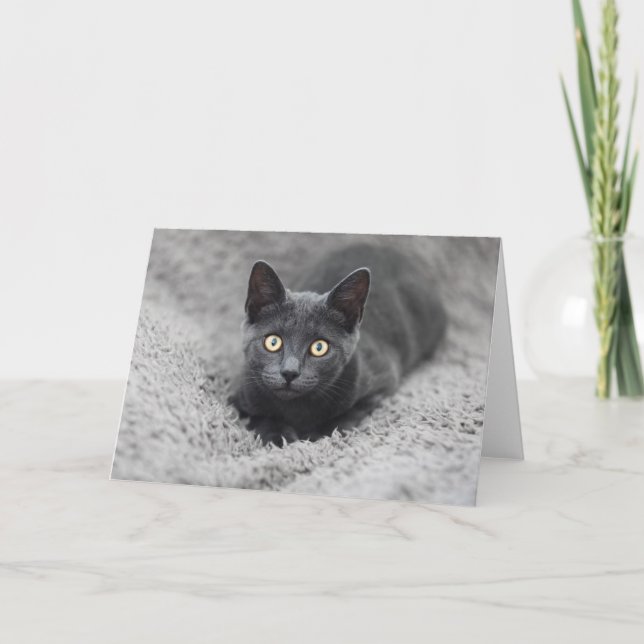Cutest Baby Animals | Grey Cat Card (Front)