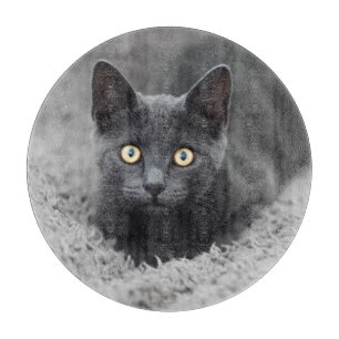 Cutest Baby Animals   Grey Cat Cutting Board