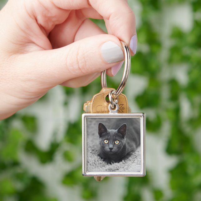 Cutest Baby Animals | Grey Cat Key Ring (Hand)