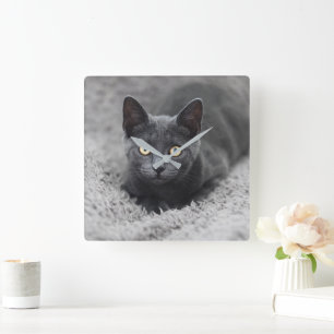 Cutest Baby Animals Grey Cat Square Wall Clock