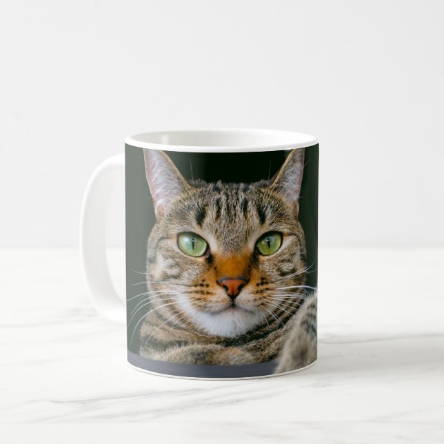 Cutest Baby Animals | Grey Tabby Cat Face Coffee Mug (Front Left)