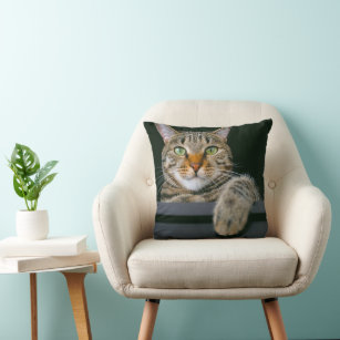 Cutest Baby Animals   Grey Tabby Cat Face Cushion