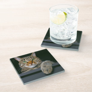 Cutest Baby Animals Grey Tabby Cat Face Glass Coaster