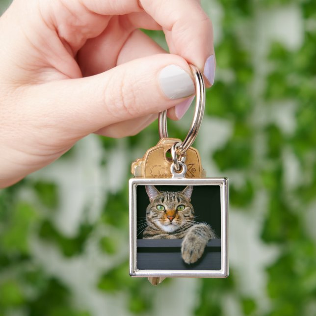 Cutest Baby Animals | Grey Tabby Cat Face Key Ring (Hand)
