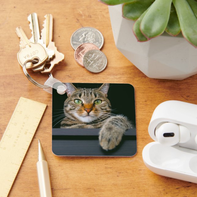 Cutest Baby Animals | Grey Tabby Cat Face Key Ring (Desk)