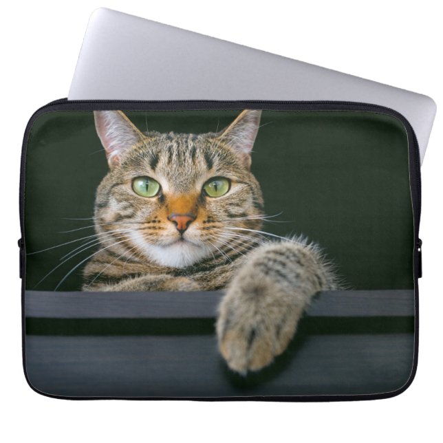 Cutest Baby Animals | Grey Tabby Cat Face Laptop Sleeve (Front)