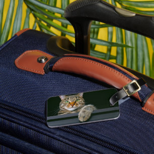 Cutest Baby Animals Grey Tabby Cat Face Luggage Tag