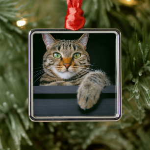 Cutest Baby Animals Grey Tabby Cat Face Metal Ornament