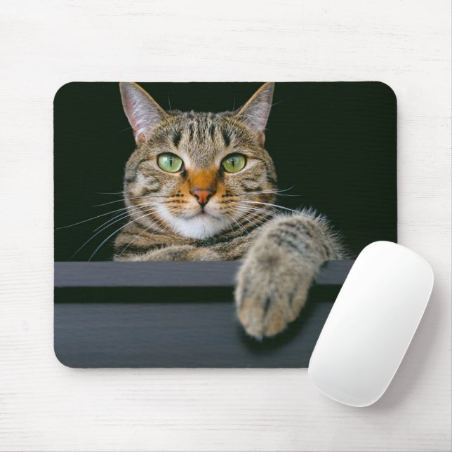 Cutest Baby Animals | Grey Tabby Cat Face Mouse Pad (With Mouse)