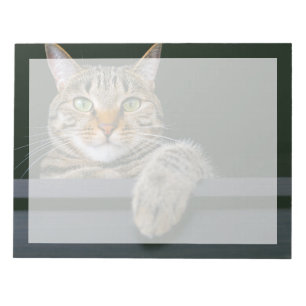 Cutest Baby Animals Grey Tabby Cat Face Notepad