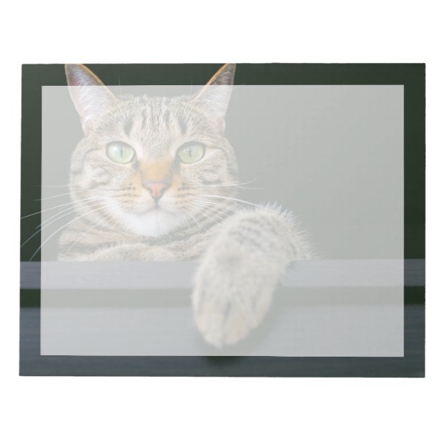 Cutest Baby Animals | Grey Tabby Cat Face Notepad (Front)