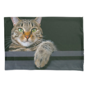 Cutest Baby Animals   Grey Tabby Cat Face Pillowcase