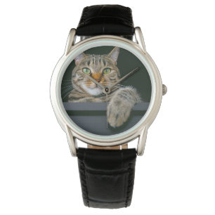 Cutest Baby Animals Grey Tabby Cat Face Watch