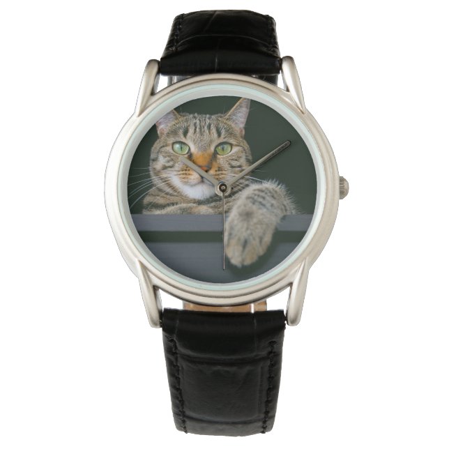 Cutest Baby Animals | Grey Tabby Cat Face Watch (Front)