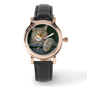 Cutest Baby Animals   Grey Tabby Cat Face Watch