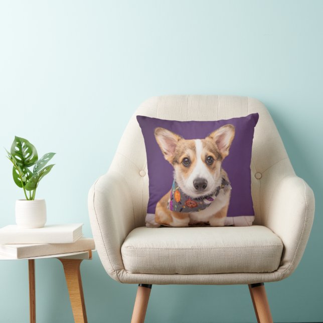 Cutest Baby Animals | Halloween Corgi Cushion (Chair)