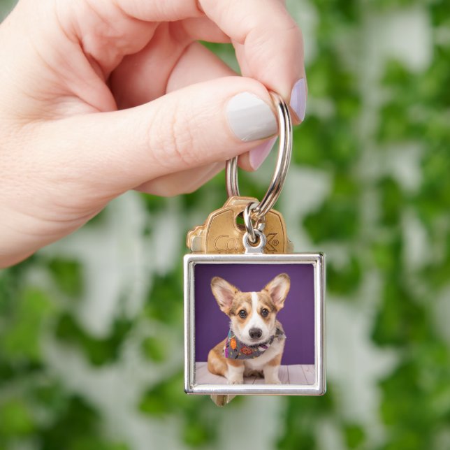 Cutest Baby Animals | Halloween Corgi Key Ring (Hand)