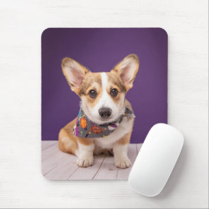 Cutest Baby Animals Halloween Corgi Mouse Pad