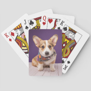 Cutest Baby Animals   Halloween Corgi Playing Cards