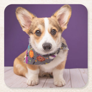 Cutest Baby Animals   Halloween Corgi Square Paper Coaster