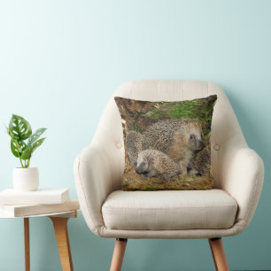 Cutest Baby Animals   Hedgehog Family Cushion
