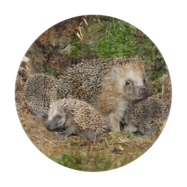 Cutest Baby Animals | Hedgehog Family Cutting Board (Front)