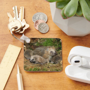 Cutest Baby Animals   Hedgehog Family Key Ring