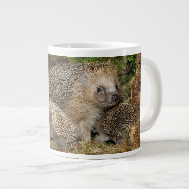 Cutest Baby Animals | Hedgehog Family Large Coffee Mug (Front Right)