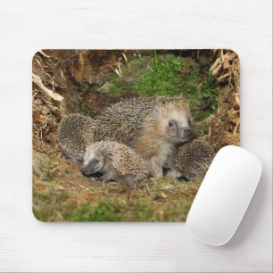Cutest Baby Animals Hedgehog Family Mouse Pad