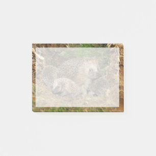 Cutest Baby Animals Hedgehog Family Post-it Notes