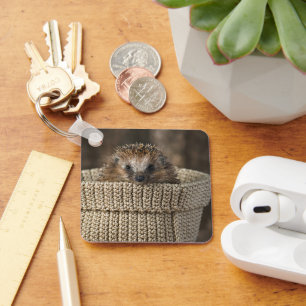 Cutest Baby Animals Hedgehog in a Basket Key Ring