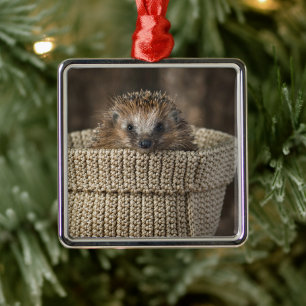 Cutest Baby Animals   Hedgehog in a Basket Metal Ornament