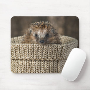 Cutest Baby Animals Hedgehog in a Basket Mouse Pad