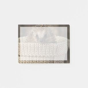 Cutest Baby Animals Hedgehog in a Basket Post-it Notes