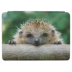 Cutest Baby Animals   Hedgehog Smile iPad Air Cover
