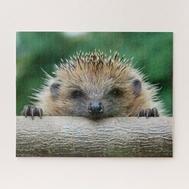 Cutest Baby Animals | Hedgehog Smile Jigsaw Puzzle (Horizontal)