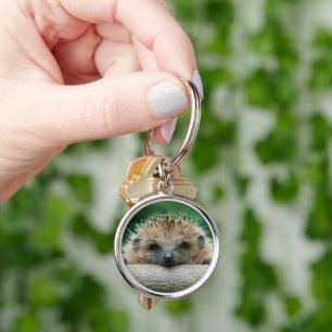 Cutest Baby Animals Hedgehog Smile Key Ring