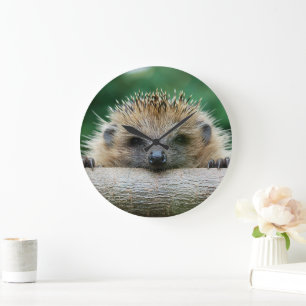 Cutest Baby Animals   Hedgehog Smile Large Clock