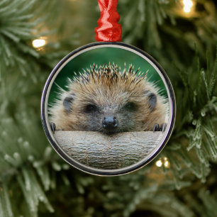 Cutest Baby Animals   Hedgehog Smile Metal Ornament