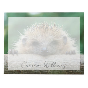 Cutest Baby Animals   Hedgehog Smile Notepad