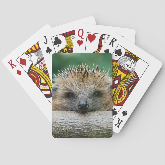 Cutest Baby Animals | Hedgehog Smile Playing Cards (Back)