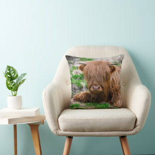 Cutest Baby Animals   Highland Cow Calf Cushion