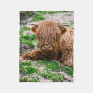 Cutest Baby Animals   Highland Cow Calf Fleece Blanket