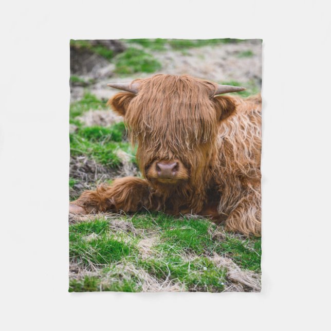 Cutest Baby Animals | Highland Cow Calf Fleece Blanket (Front)