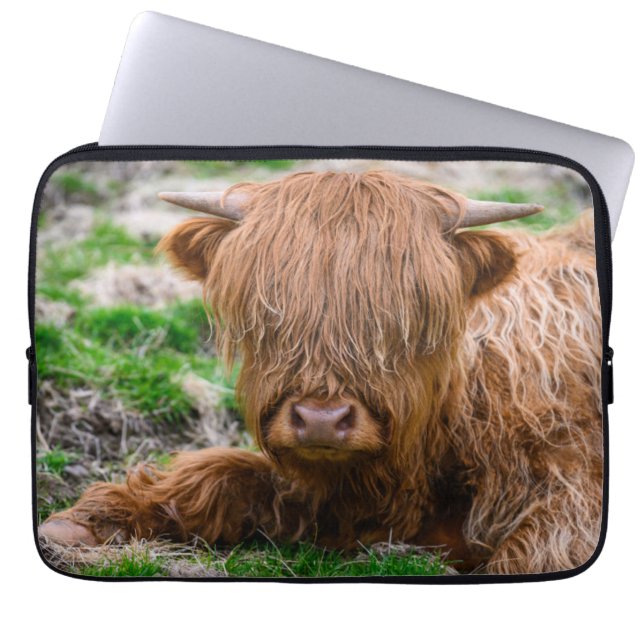 Cutest Baby Animals | Highland Cow Calf Laptop Sleeve (Front)