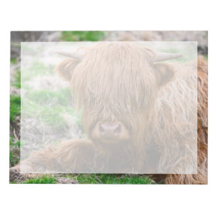 Cutest Baby Animals Highland Cow Calf Notepad