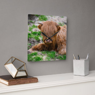 Cutest Baby Animals   Highland Cow Calf Square Wall Clock