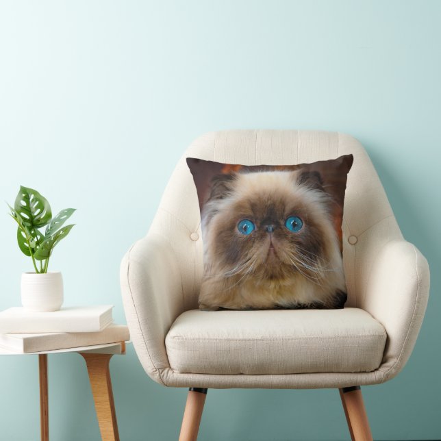 Cutest Baby Animals | Himalayan Cat Cushion (Chair)